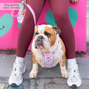 Disney© Tough Trails™ Harness - Piglet