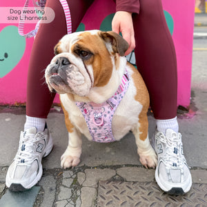 Disney© Tough Trails™ Harness - Piglet