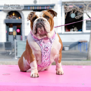 Disney© Tough Trails™ Harness - Piglet