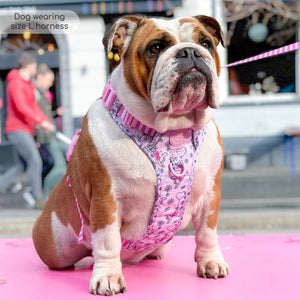 Disney© Tough Trails™ Harness - Piglet