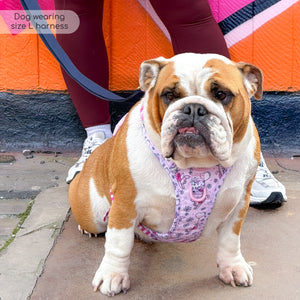 Disney© Tough Trails™ Harness - Piglet