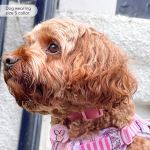 Disney© Waterproof Collar - Piglet