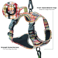 Tough Trails™ Harness - Plaid Pup