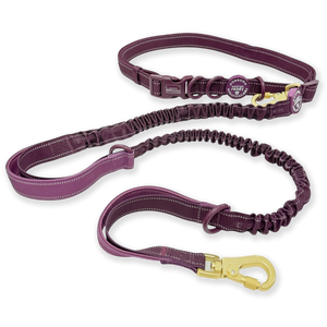 Handsfree Lead - Walkies Ready® Plum