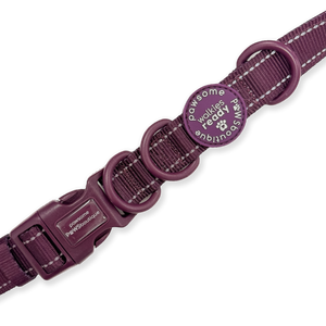 Handsfree Lead - Walkies Ready® Plum