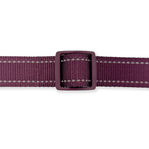 Handsfree Lead - Walkies Ready® Plum