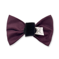 Bow Tie - Walkies Ready® - Plum