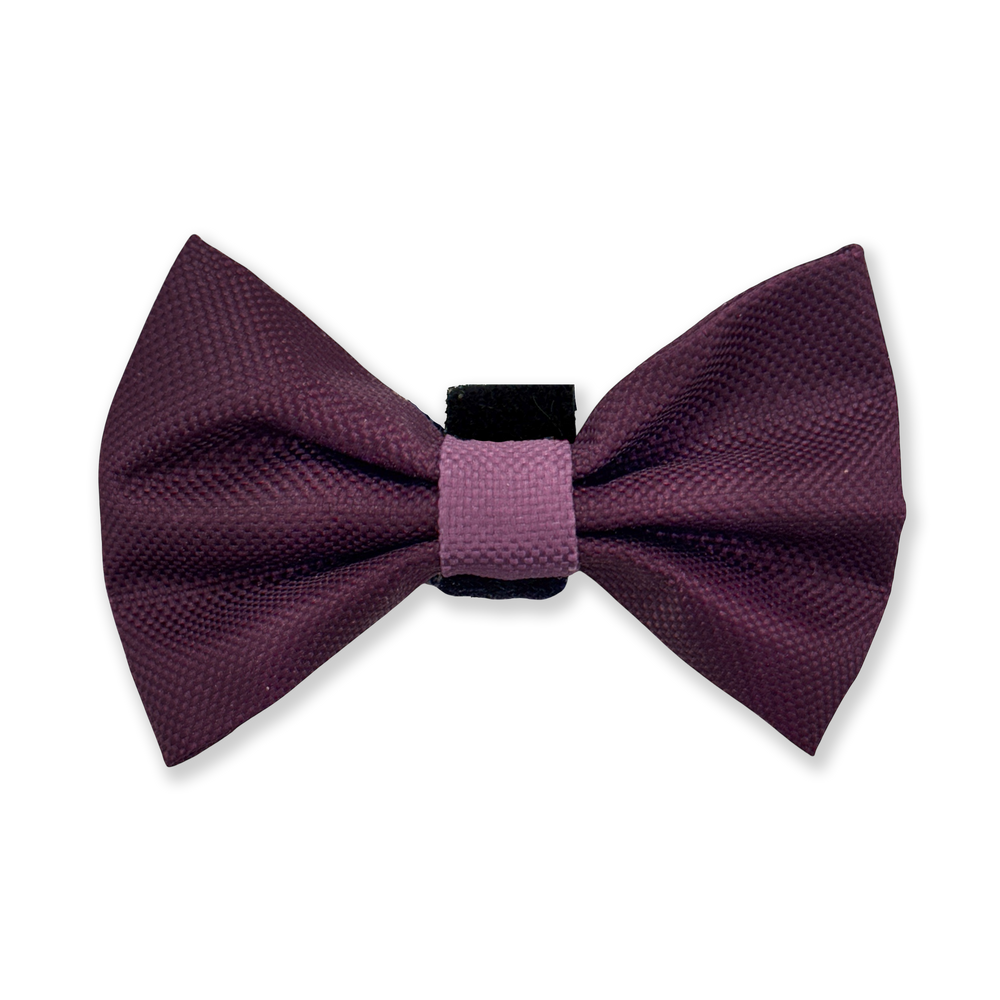 Bow Tie - Walkies Ready® - Plum