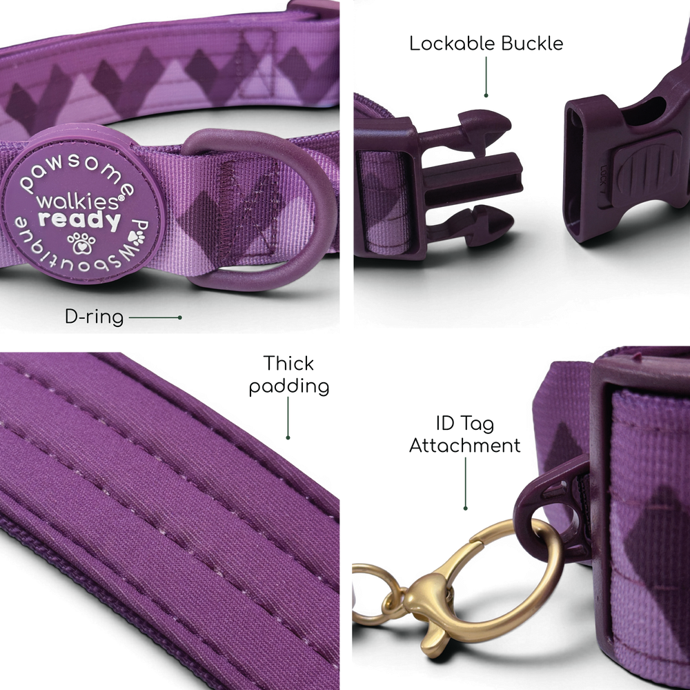 Adventure Collar - Plum (Size Large Only)