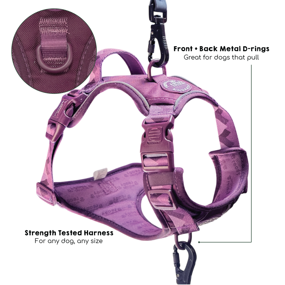 Tough Trails™ Harness - Walkies Ready® Plum