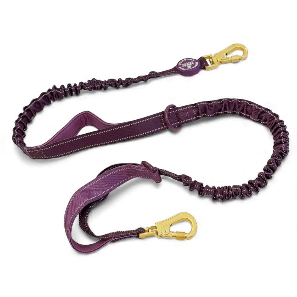 Handsfree Lead - Walkies Ready® Plum