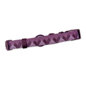 Collar – Walkies Ready® Plum