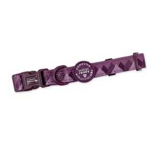 Collar – Walkies Ready® Plum