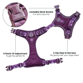 Tough Trails™ Harness - Walkies Ready® Plum