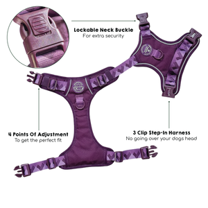 Tough Trails™ Harness - Walkies Ready® Plum