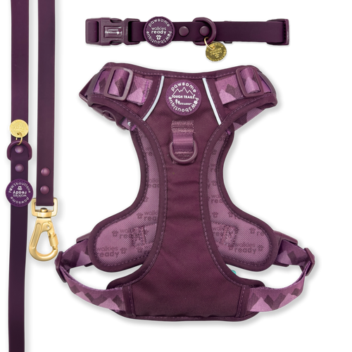 Walkies Ready Plum Waterproof Bundle