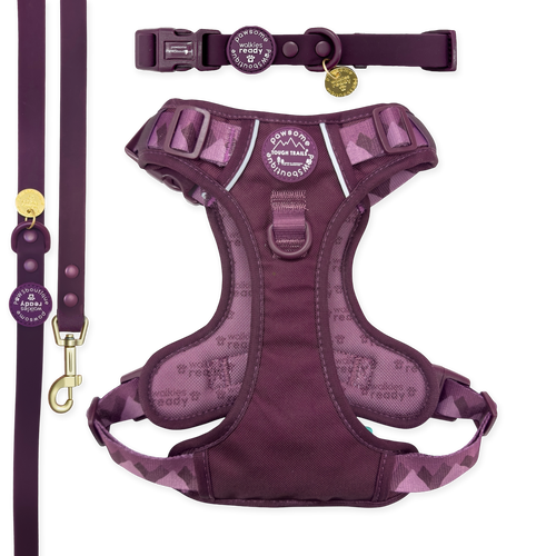 Walkies Ready Plum Waterproof Bundle