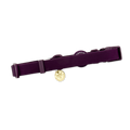 Waterproof Collar - Walkies Ready® Plum