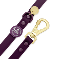 4ft Waterproof Lead - Walkies Ready® Plum