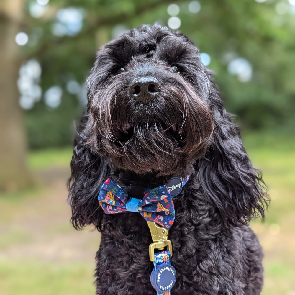 Disney© Bow Tie - Alice In Wonderland