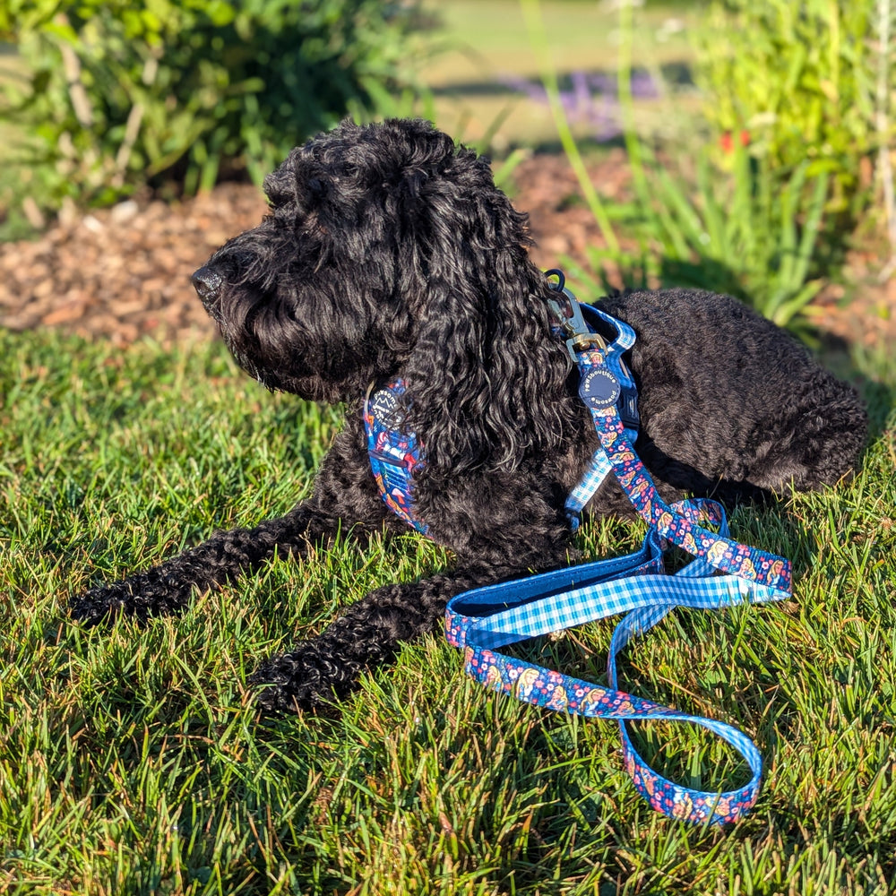 Disney© Lead - Alice In Wonderland