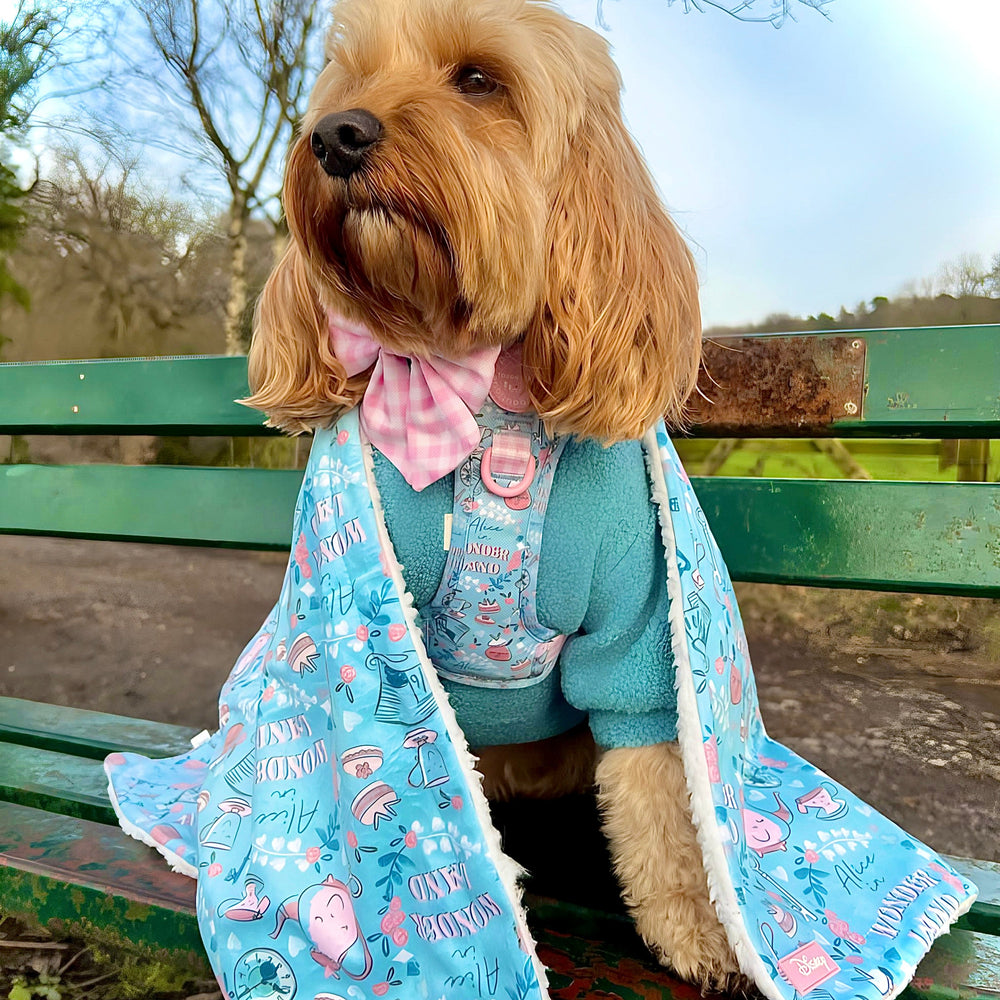 Disney© Dog Blanket - Mad Hatters Tea Party