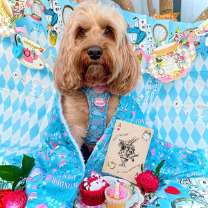 Disney© Dog Blanket - Mad Hatters Tea Party