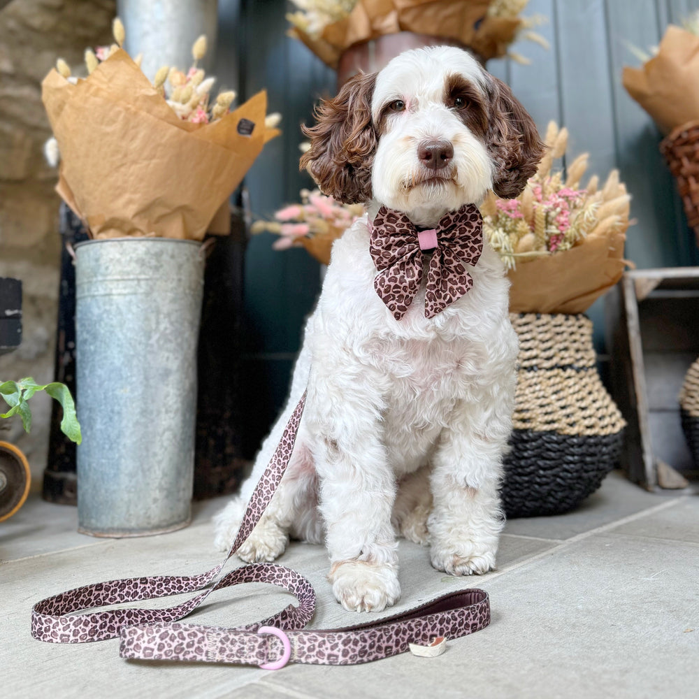 Sailor Bow - Leopard Print