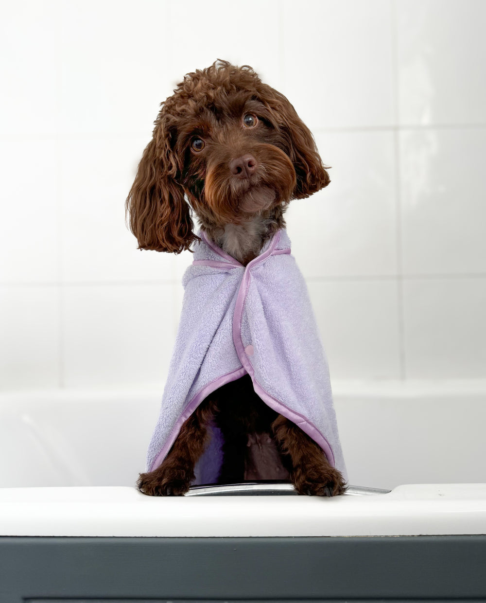 Disney© Hooded Microfibre Towel - Bambi + Friends Lilac