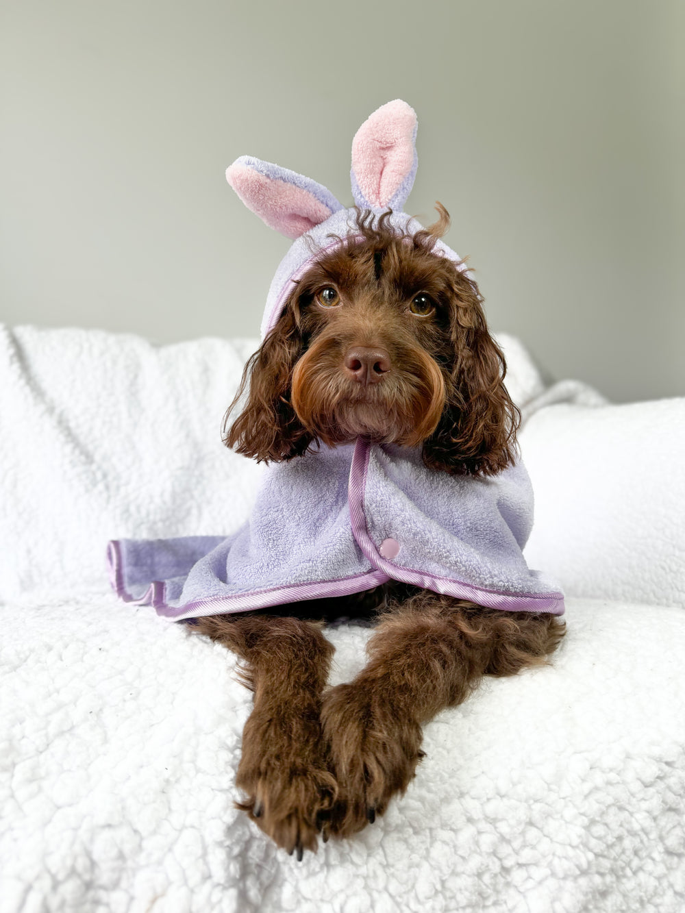 Disney© Hooded Microfibre Towel - Bambi + Friends Lilac