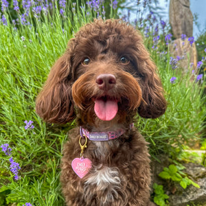 Collar - Emily In Paris