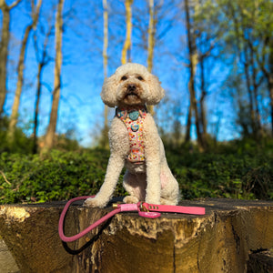 4ft Rope Lead - Pretty Pink