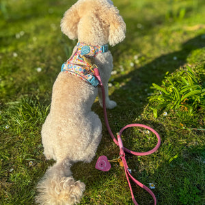 4ft Rope Lead - Pretty Pink
