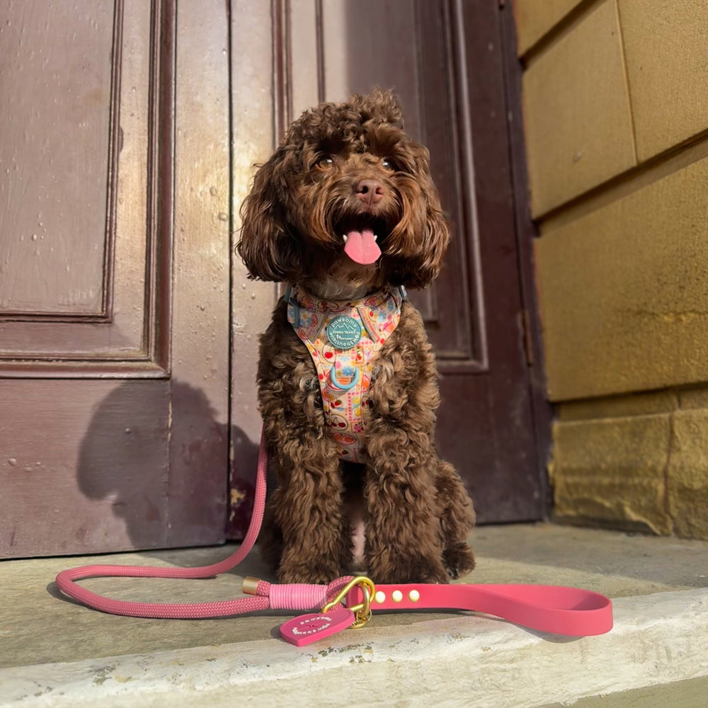 4ft Rope Lead - Pretty Pink