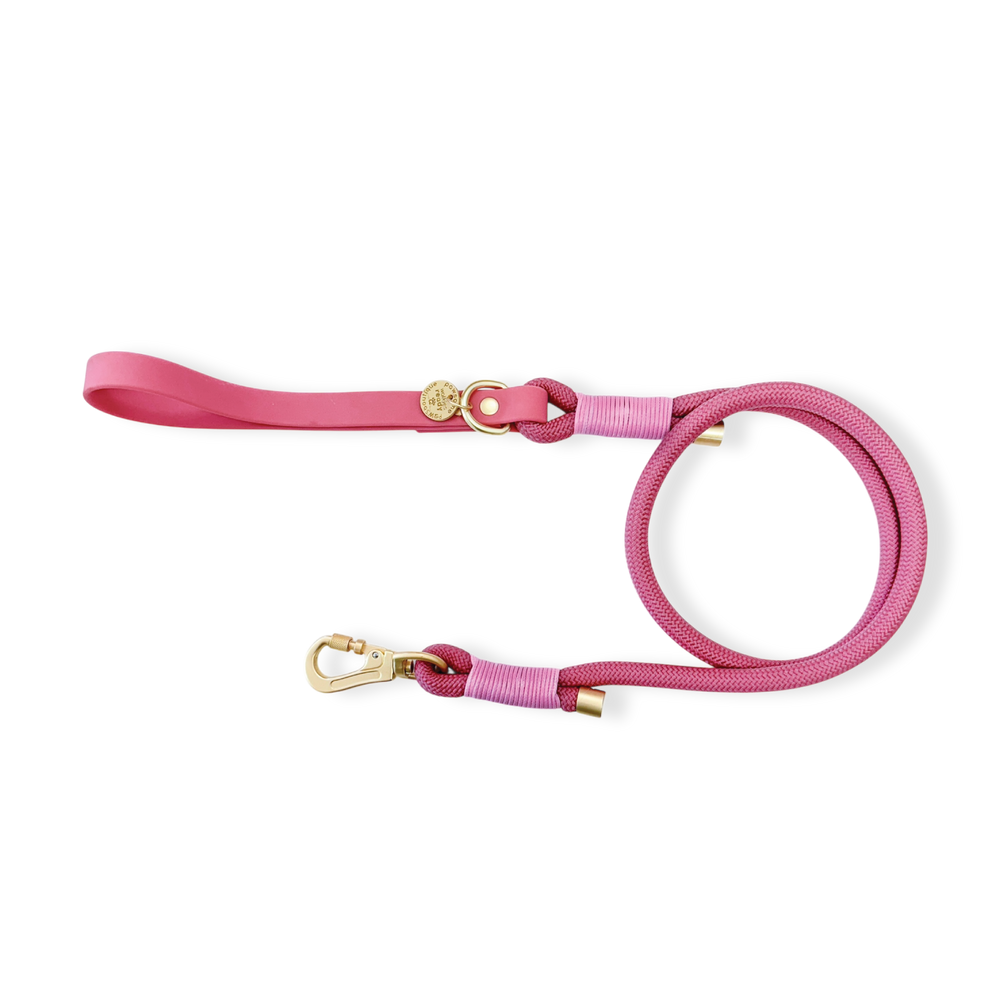 4ft Rope Lead - Pretty Pink