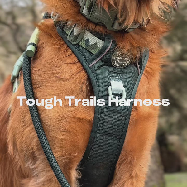 Paddington™ Tough Trails™ Harness - London