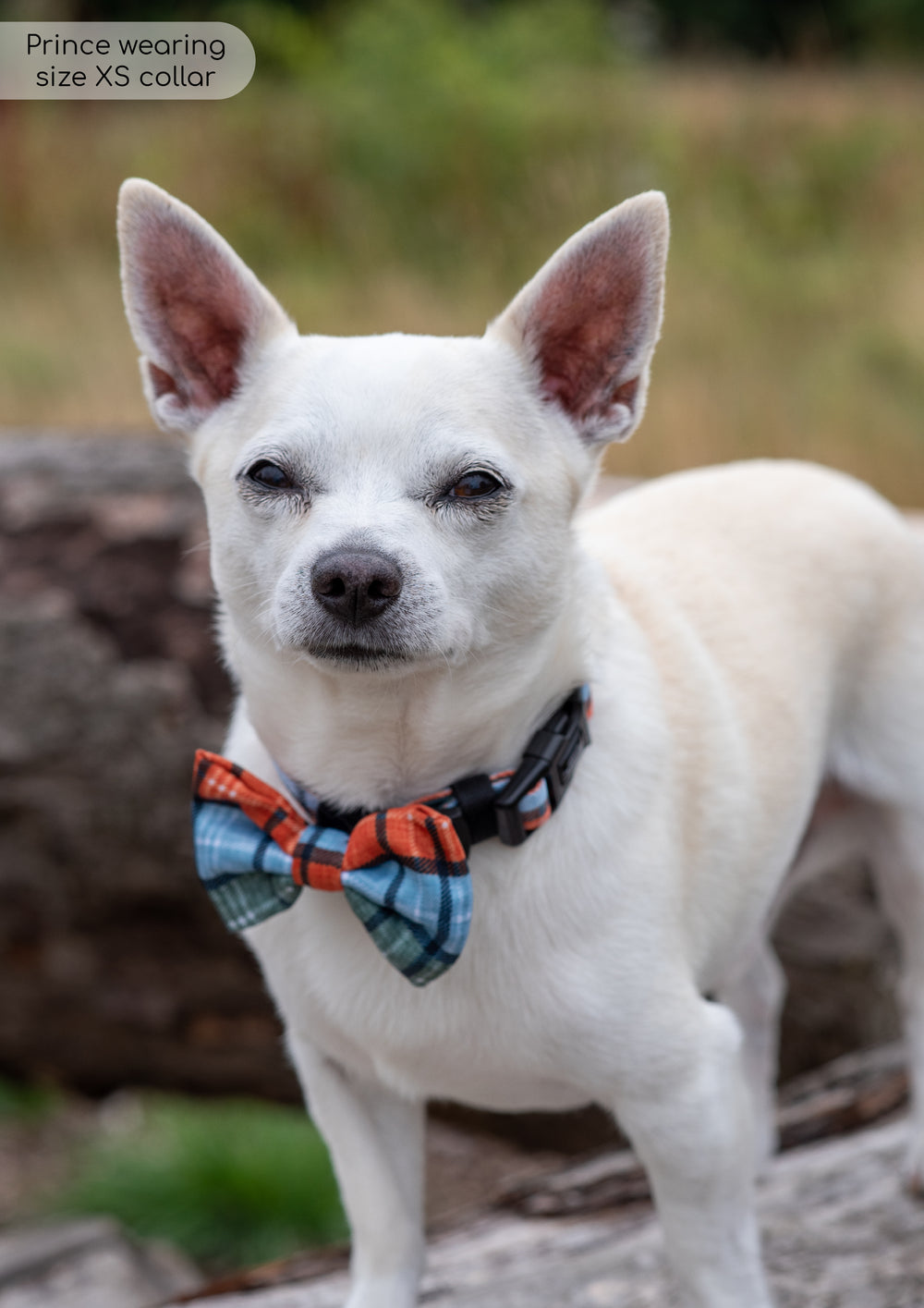 Bow Tie - Harvest Plaid