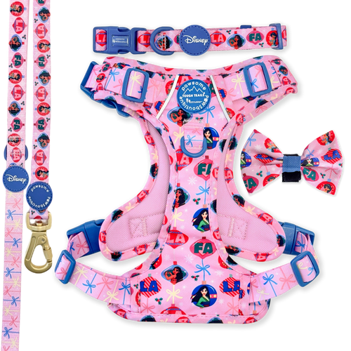 Disney© Princess Ultimate Bundle