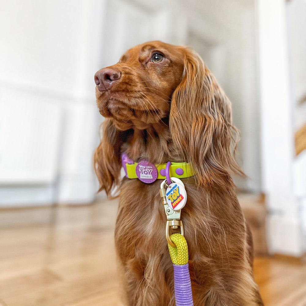 Disney© Collar/Lead Charm - Toy Story