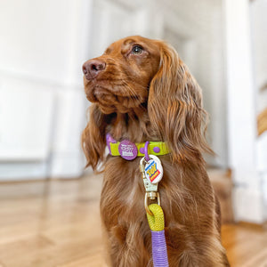 Disney© Collar/Lead Charm - Toy Story