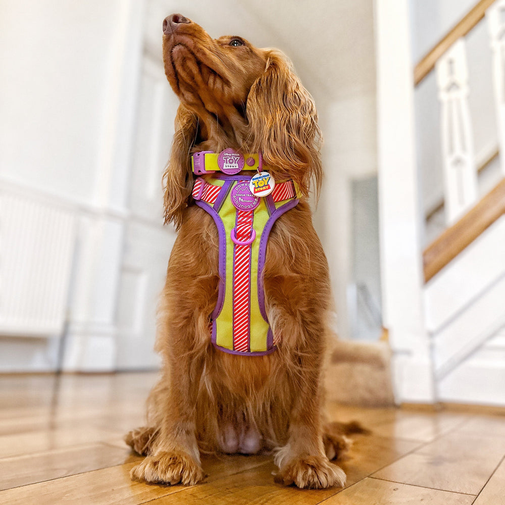 Disney© Collar/Lead Charm - Toy Story