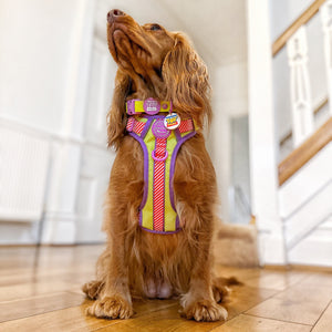 Disney© Collar/Lead Charm - Toy Story