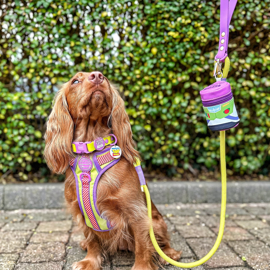 Disney© 4ft Rope Lead - Buzz Lightyear