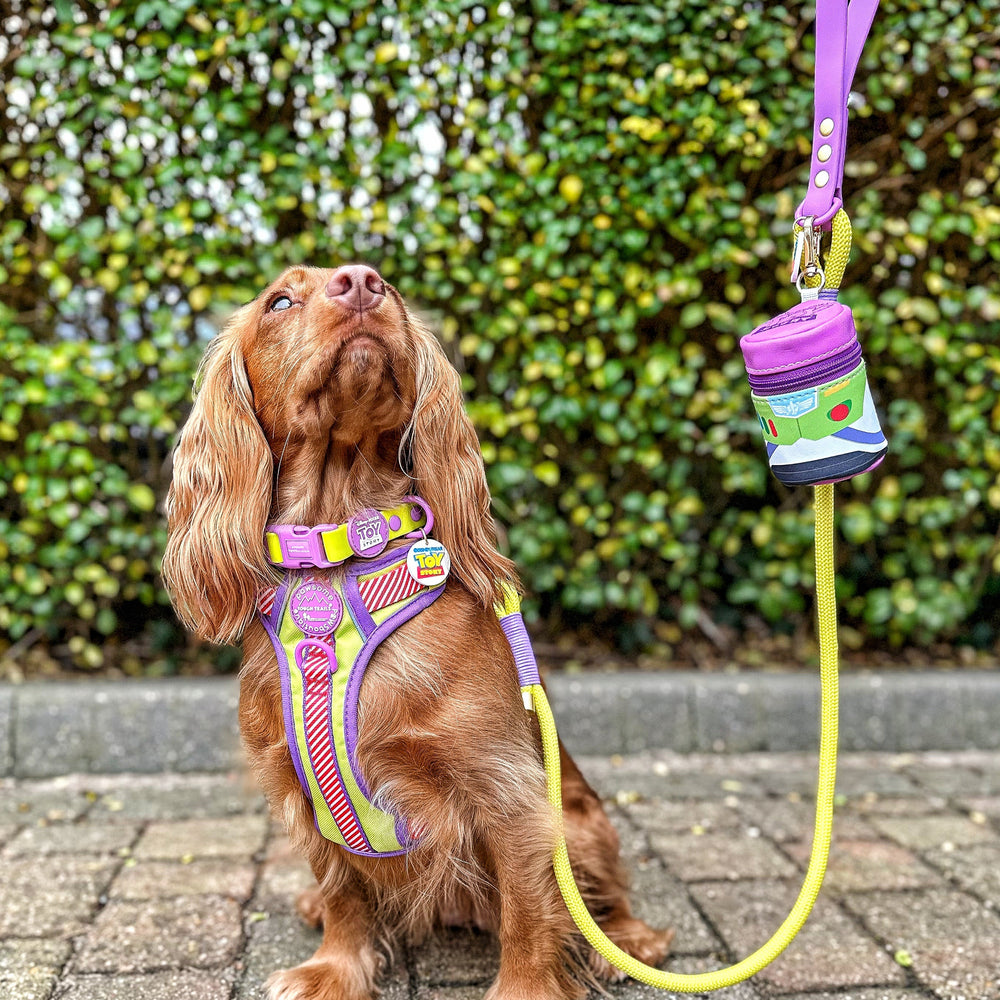 Disney© 4ft Rope Lead - Buzz Lightyear