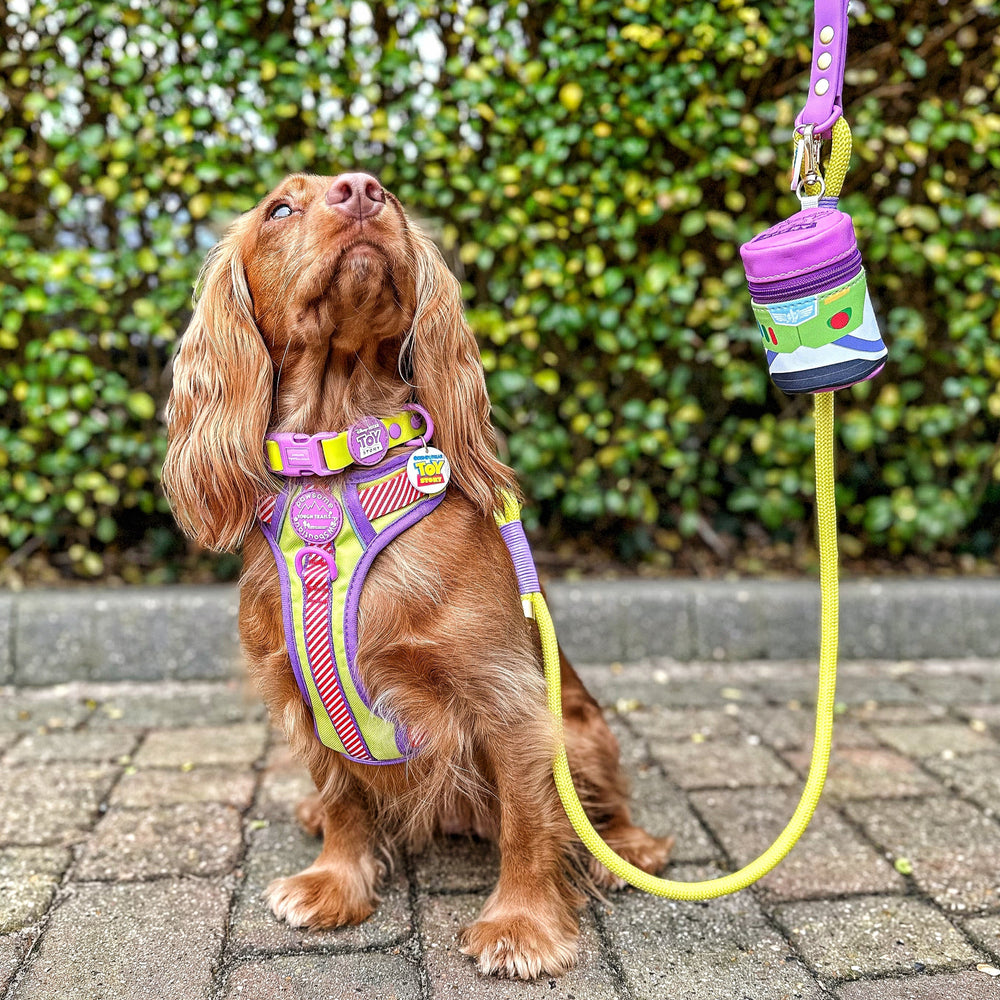 Disney© Treat Pouch - Buzz Lightyear