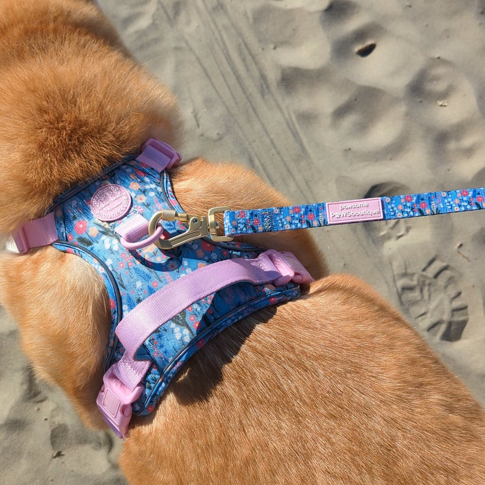 Lead - Whimsical Wildflowers