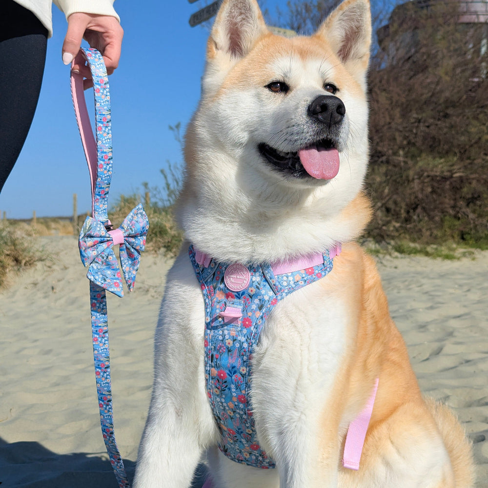 Lead - Whimsical Wildflowers