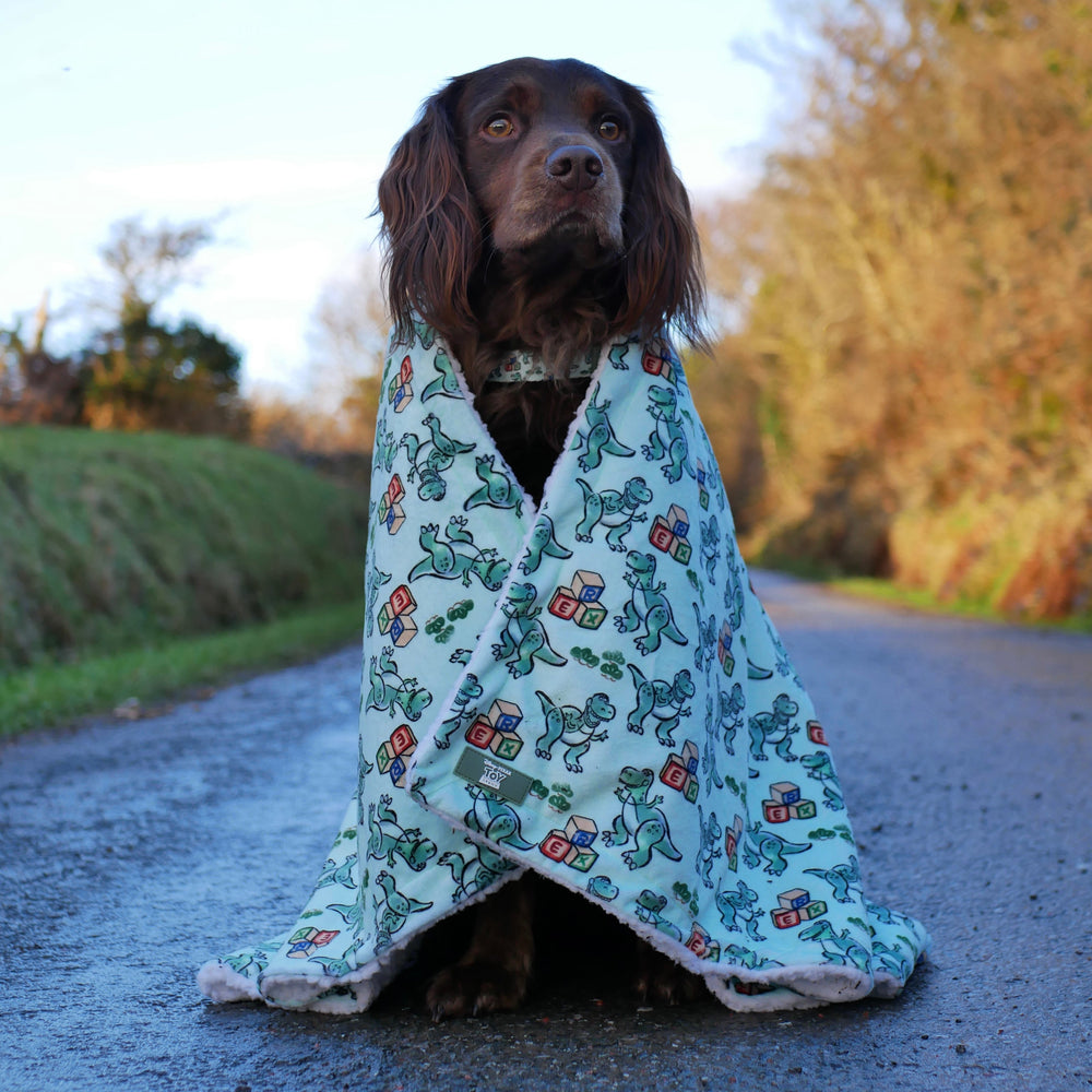 Disney© Dog Blanket - Rex