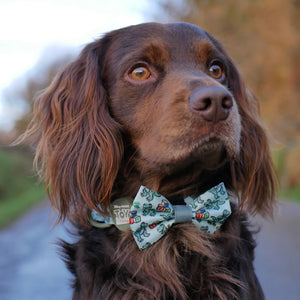 Disney© Bow Tie - Rex