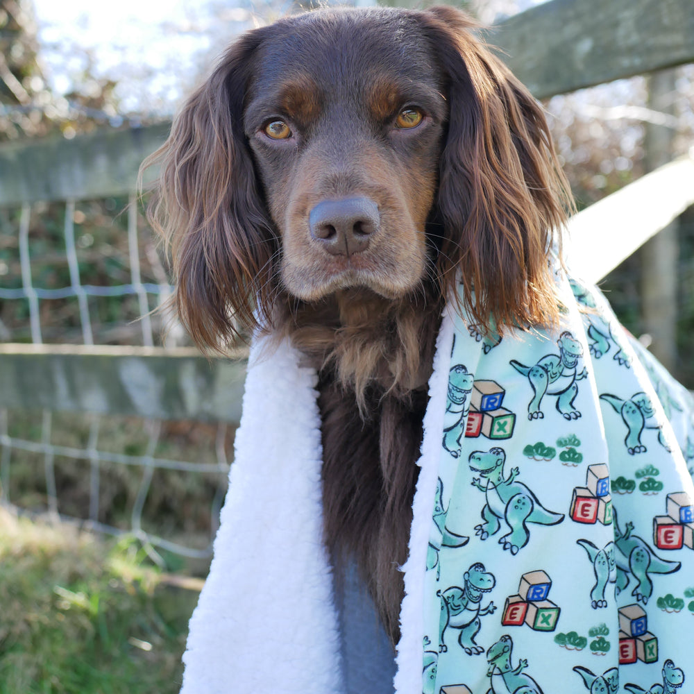 Disney© Dog Blanket - Rex